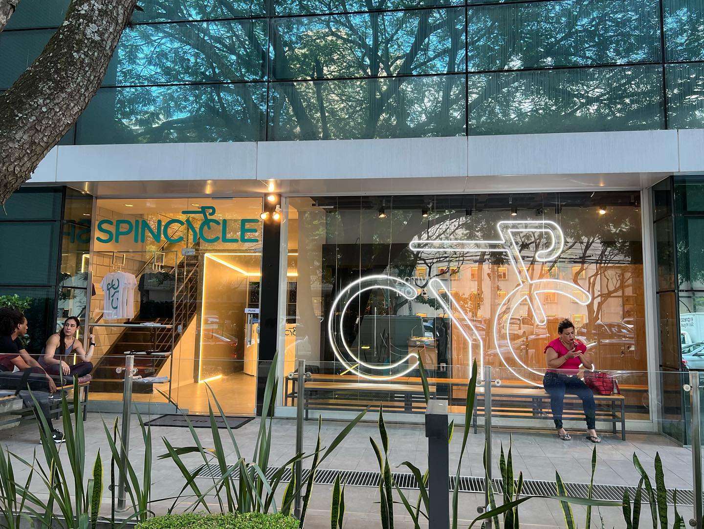 Projeto de comunicação visual MS Luminosos - 66DF27E8